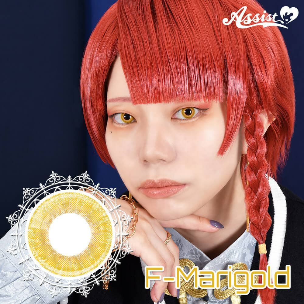  アシストシュシュ ファビル ワンデー(AssistChouChou Favill 1day) 6枚入 