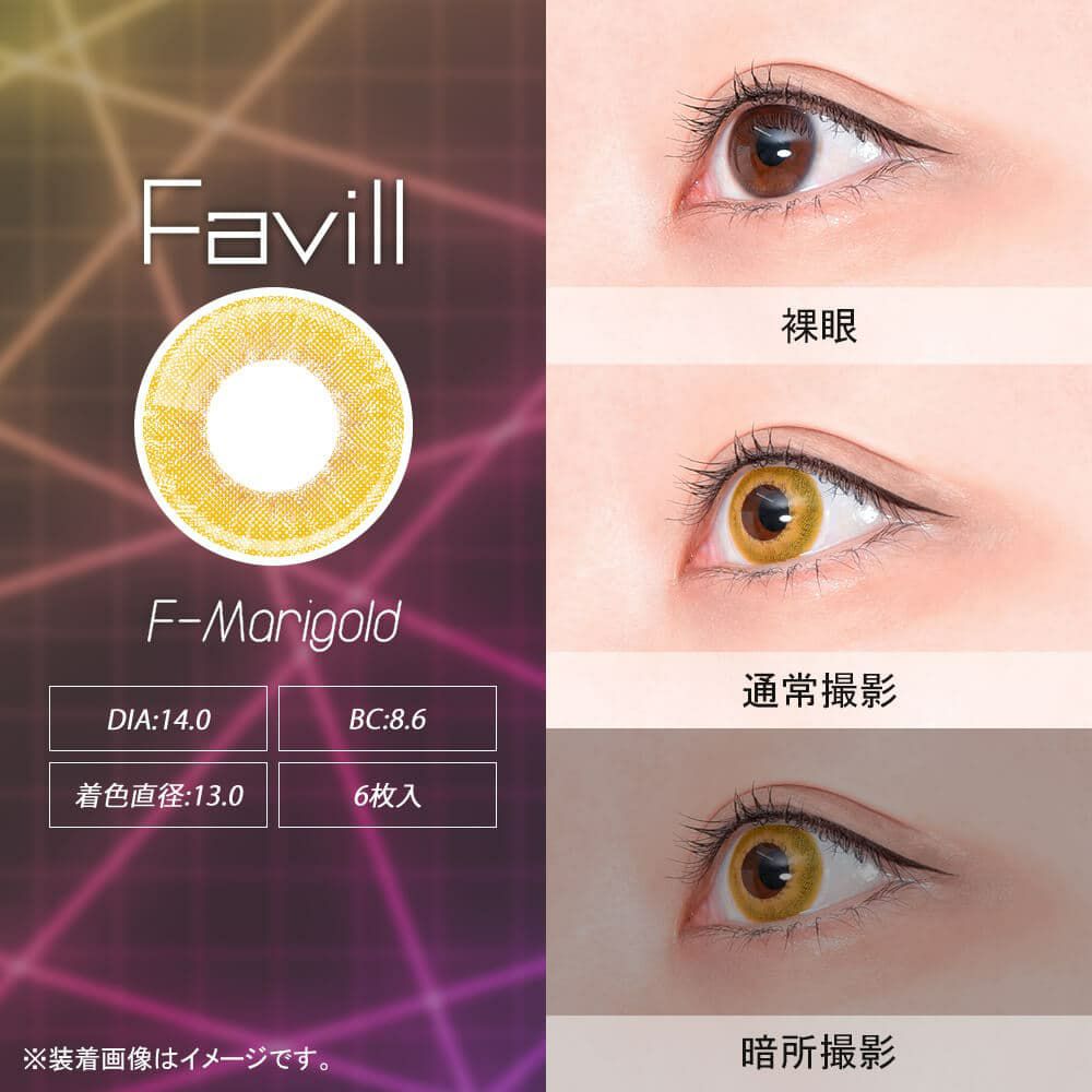  アシストシュシュ ファビル ワンデー(AssistChouChou Favill 1day) 6枚入 