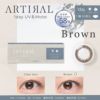 ブラウン-イメージ画像