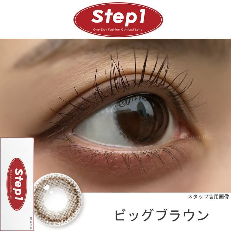 ビッグブラウン-スタッフ装用画像