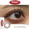  ステップワン(Step1) 10枚入 