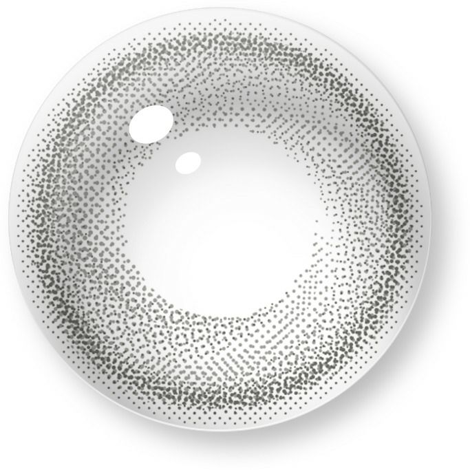 アメリカングレー-レンズ画像