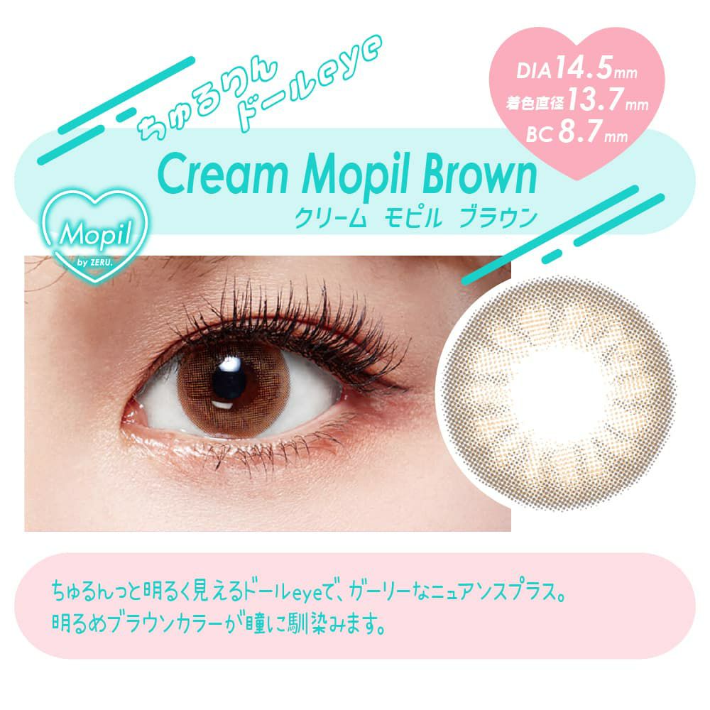 クリームモピルブラウン-イメージ画像