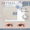【高含水58％】アーティラル UV＆モイスト 30枚入[ダークブラウン] 