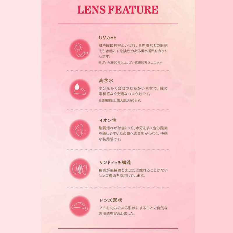 パース (perse)10枚入[サニーベア] 