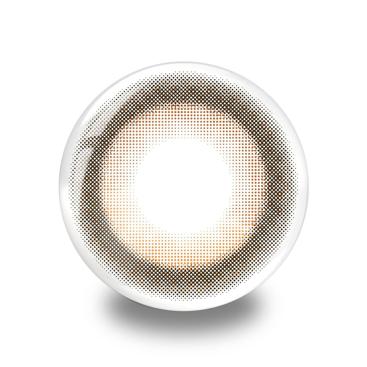 パース (perse)10枚入[サニーベア] 