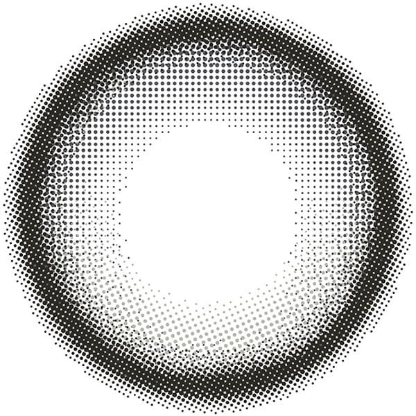 リアリア (RIARIA 1day) 10枚入 米澤りあプロデュースカラコンアリアグレーレンズ画像