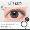 リアリア (RIARIA 1day) 10枚入[アリアグレー] 米澤りあカラコン