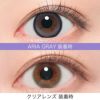 リアリア (RIARIA 1day) 10枚入[アリアグレー] 米澤りあカラコン