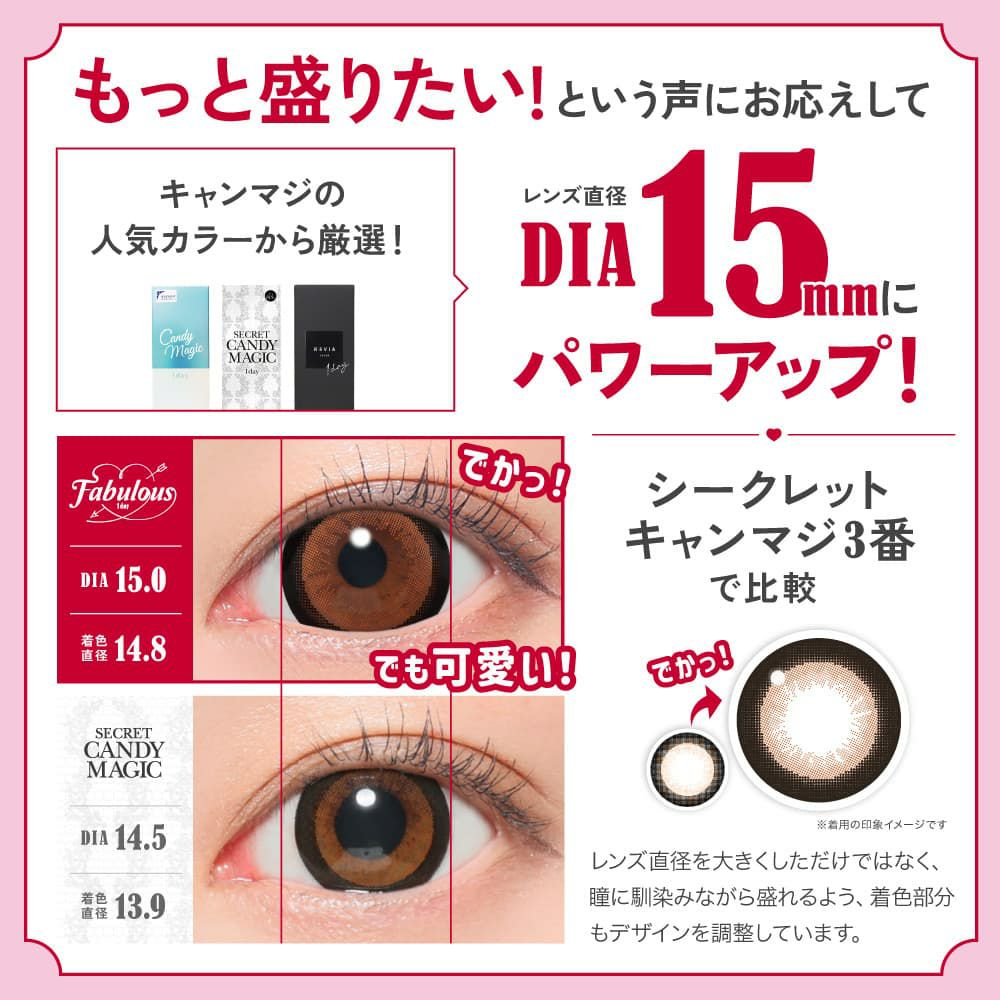 ファビュラスワンデー (FABULOUS 1day) 10枚入