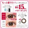 ファビュラスワンデー (FABULOUS 1day) 10枚入