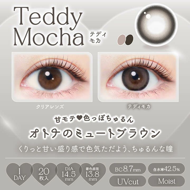 テディモカ-エバーカラーワンデーナチュラル 20枚入 ワンデーカラコン