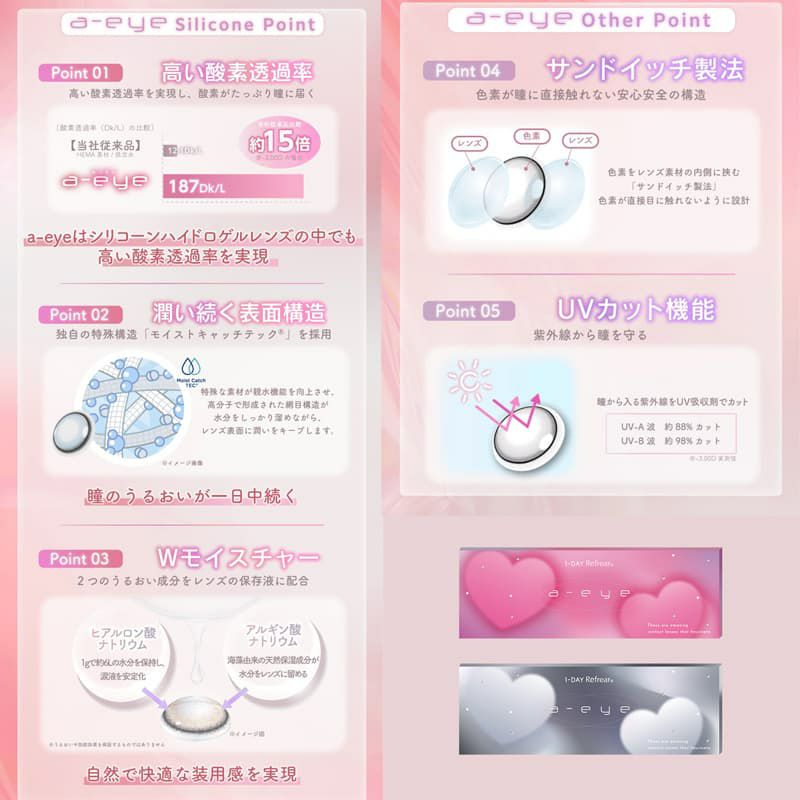 マグネティックグレー- ワンデーリフレアエーアイ(1-DAY Refrear a-eye)10枚入カラコン