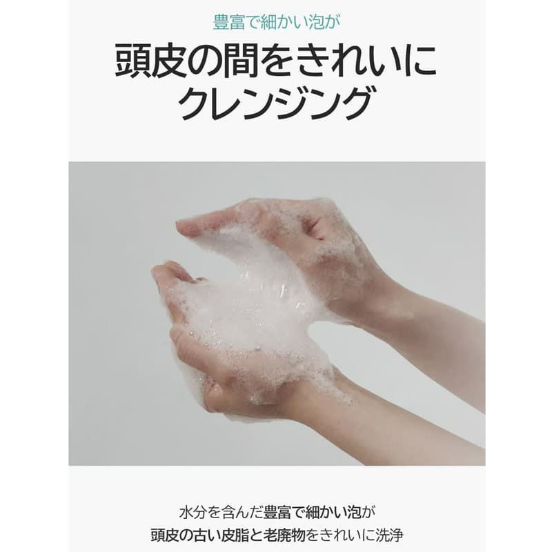 【バナナル(BANANAL)】ピュリファイング シャンプー(Purifying Shampoo Green breeze) 500ml 