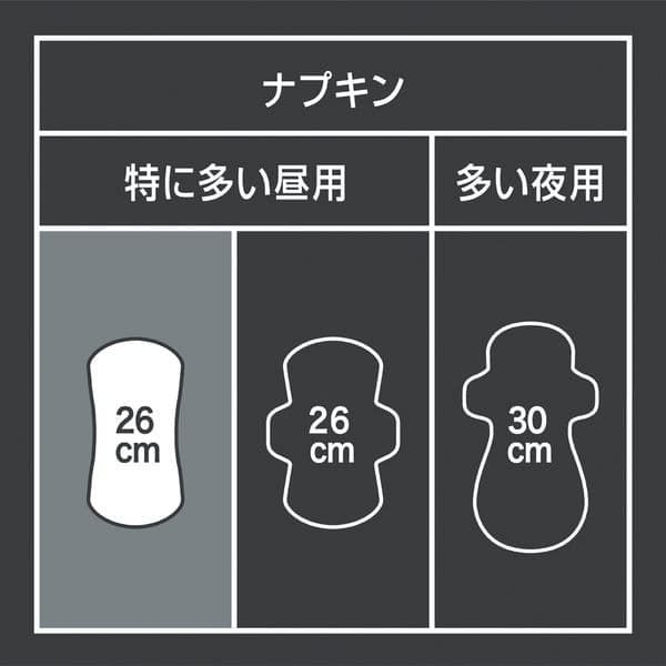 ソフィ SPORTSズレに強い 特に多い昼用 羽なし (26cm×24枚