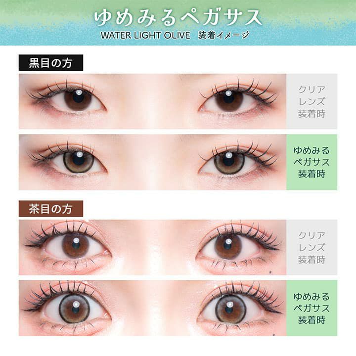 フルーリー ワンデー(Flurry by colors)10枚入[夢見るペガサス] -明日花キララ-ワンデーカラコン